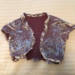 Beautiful velvet top